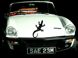 Lizard reptile creature style 34 Vinyl Wall Car Window Decal - Fusion Decals