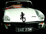 Lizard reptile creature style 38 Vinyl Wall Car Window Decal - Fusion Decals