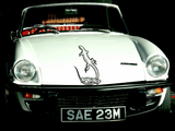 Lizard reptile creature style 51 Vinyl Wall Car Window Decal - Fusion Decals