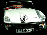 Lizard reptile creature style 6 Vinyl Wall Car Window Decal - Fusion Decals
