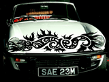 Lizard reptile creature style 60 Vinyl Wall Car Window Decal - Fusion Decals