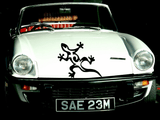 Lizard reptile creature style 61 Vinyl Wall Car Window Decal - Fusion Decals