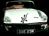 Lizard reptile creature style 66 Vinyl Wall Car Window Decal - Fusion Decals