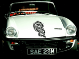 Lizard reptile creature style 68 Vinyl Wall Car Window Decal - Fusion Decals