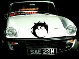 Lizard reptile creature style 7 Vinyl Wall Car Window Decal - Fusion Decals