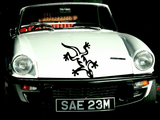 Lizard reptile creature style 70 Vinyl Wall Car Window Decal - Fusion Decals