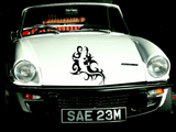 Lizard reptile creature style 80 Vinyl Wall Car Window Decal - Fusion Decals