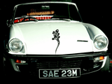 Lizard reptile creature style 83 Vinyl Wall Car Window Decal - Fusion Decals