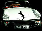Lizard reptile creature style 86 Vinyl Wall Car Window Decal - Fusion Decals