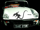 Lizard reptile creature style 97 Vinyl Wall Car Window Decal - Fusion Decals