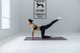 Parking for Greyhound Owners Only Sign  - Car or Wall Decal - Fusion Decals