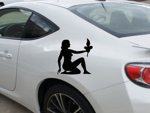 Virgo-2nd  Kanji  - Car or Wall Decal - Fusion Decals