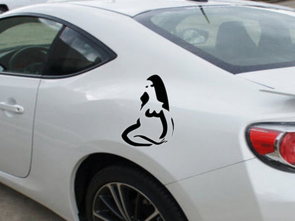 Virgo-3rd  Kanji  - Car or Wall Decal - Fusion Decals