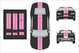 Dual 8" Vinyl Racing Stripe w/Pins [18"] - "fits" - Chevy Camaro 2010 to 2015 Fusion Decals